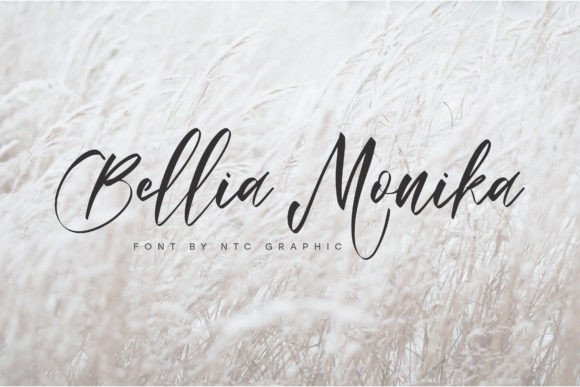 Bellia Monika: A Script Font That Breathes Quiet Confidence